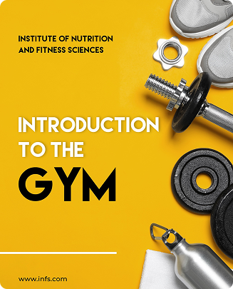 Introduction to The Gym